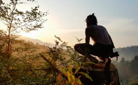 Abandona la civilización y se va a vivir a un bosque en Eslovenia