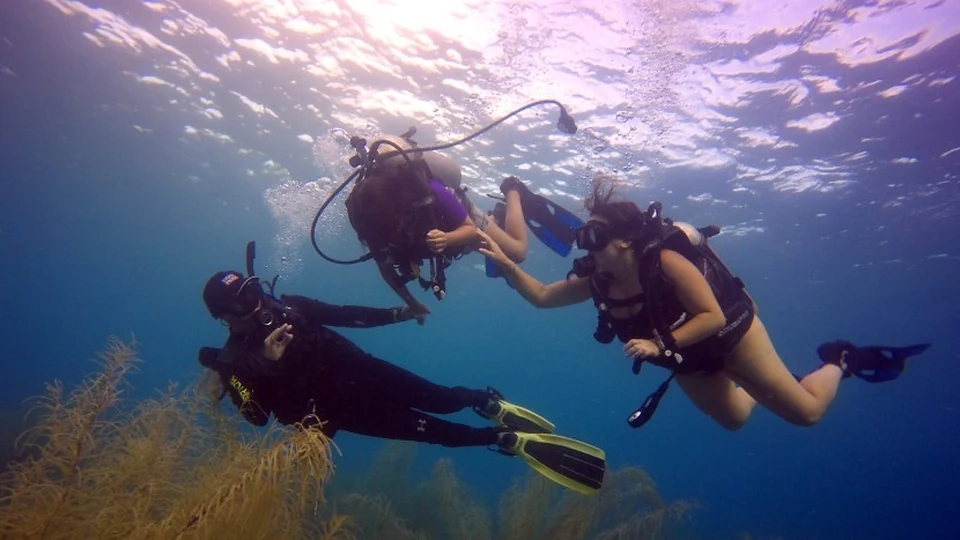 Instructor acompañando buceadores bajo el mar de San Andrés