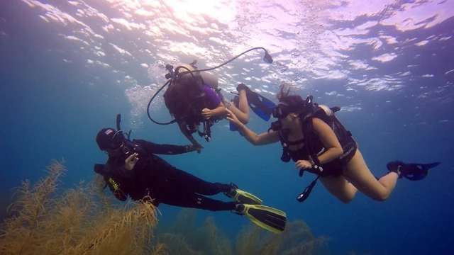 Instructor acompañando buceadores bajo el mar de San Andrés