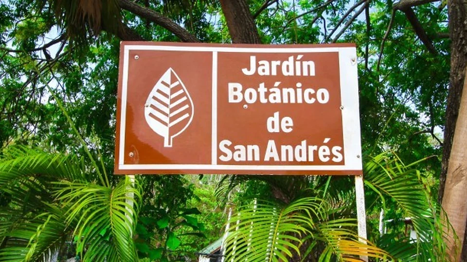 Vegetación tropical en el Jardín Botánico de San Andrés