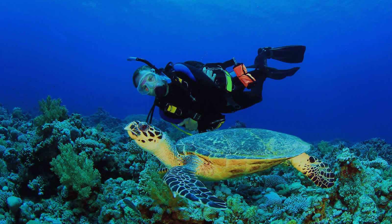 Tour de buceo y snorkel en los arrecifes de San Andrés